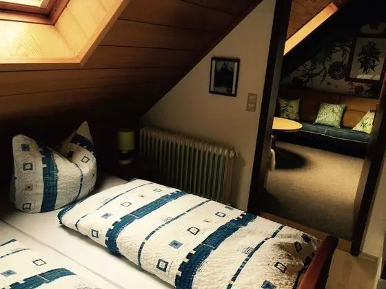 Classic Tek Büyük Yataklı Oda, Banyolu/Duşlu