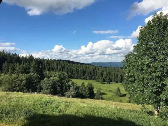 Comfort Tek Büyük Yataklı Oda, 1 Çift Kişilik Yatak, Özel Banyo, Dağ Manzaralı