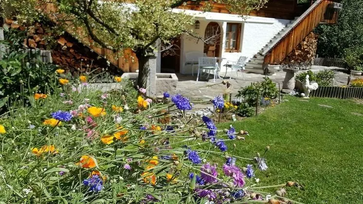 Stüdyo, Dağ Manzaralı, Dağ Yamacı