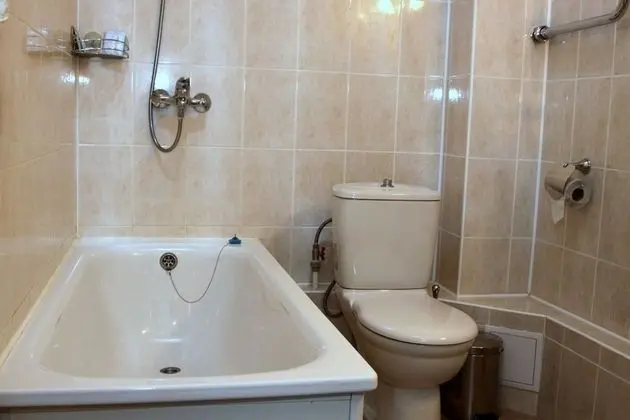 Standard Tek Büyük Yataklı Oda, 1 Çift Kişilik Yatak