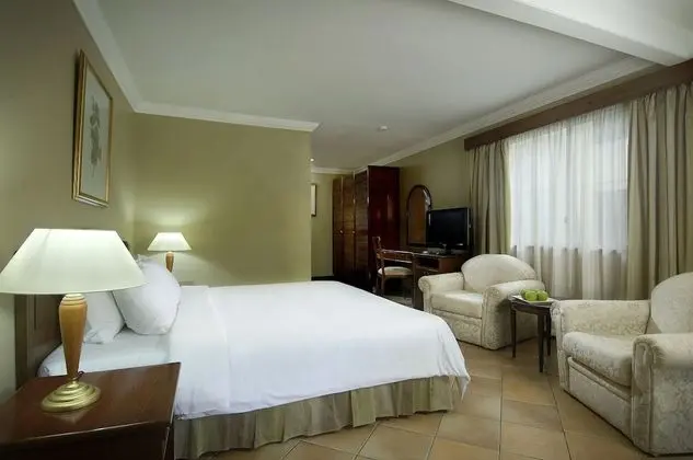 Deluxe Tek Büyük Yataklı Oda