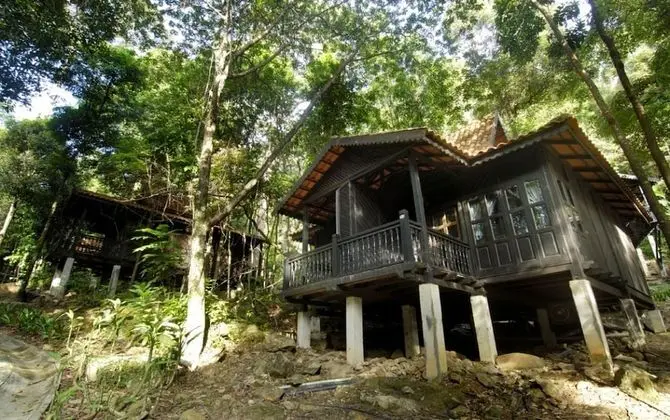 Stüdyo (Rainforest)