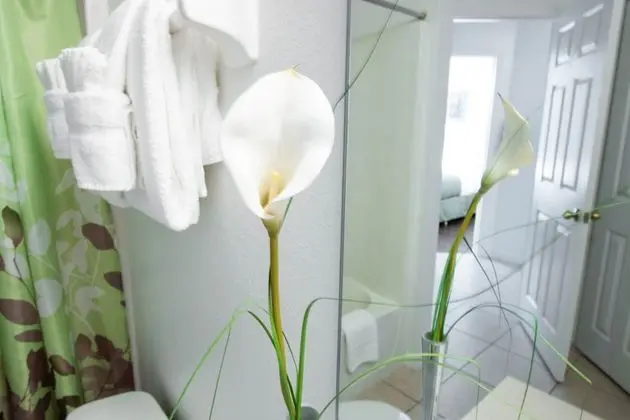 Villa, 4 Yatak Odası, Kişiye Özel Havuzlu