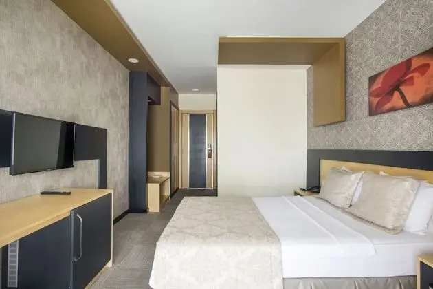 Deluxe Tek Büyük Yataklı Oda, 1 Çift Kişilik Yatak