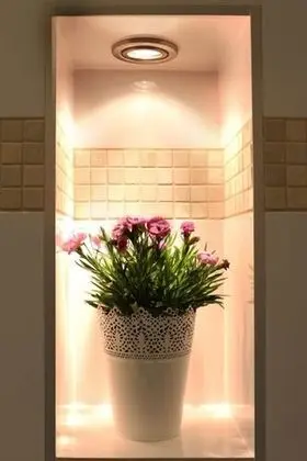 Comfort Tek Büyük Yataklı Oda, Teras