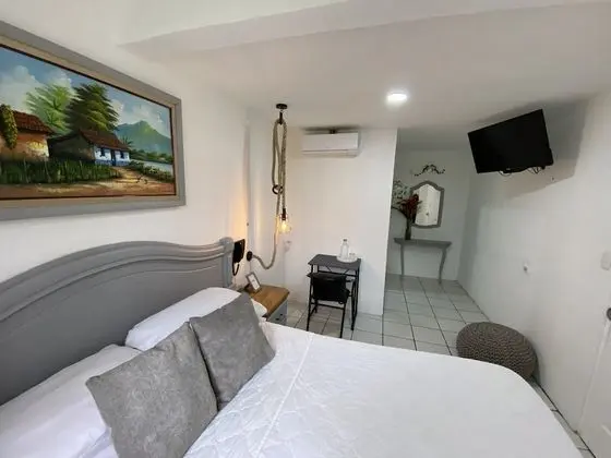 1 Queen Bed / Guest Room