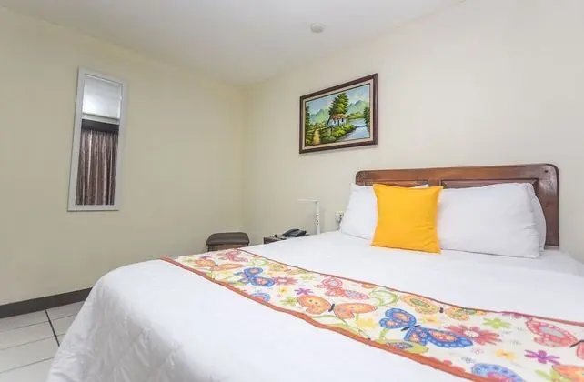 1 Queen Bed / Guest Room
