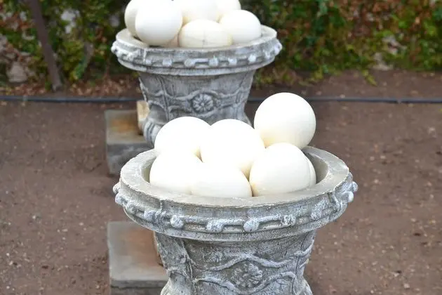 Luxury Tek Büyük Yataklı Oda