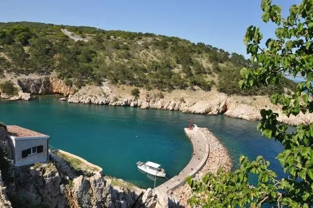 Ev (Bernardica - on cliffs above sea - H()
