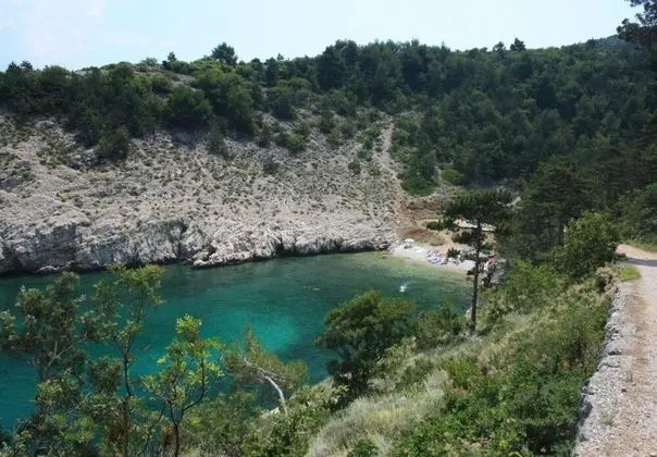 Ev (Bernardica - on cliffs above sea - H()