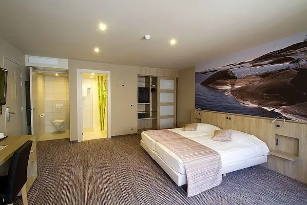 Superior Tek Büyük Yataklı Oda