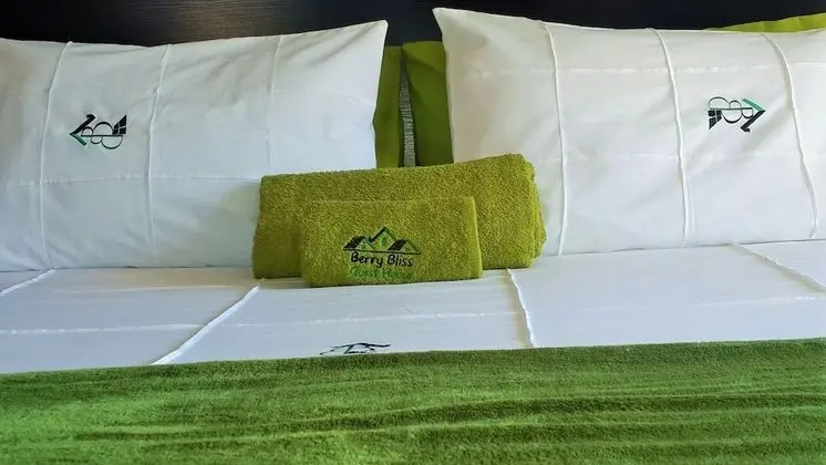 Executive Tek Büyük Yataklı Oda, Havuz Manzaralı