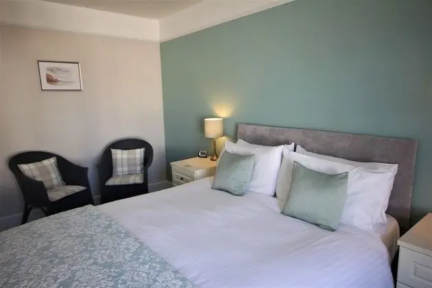 Superior Tek Büyük Yataklı Oda, 1 En Büyük (King) Boy Yatak (Room 1)