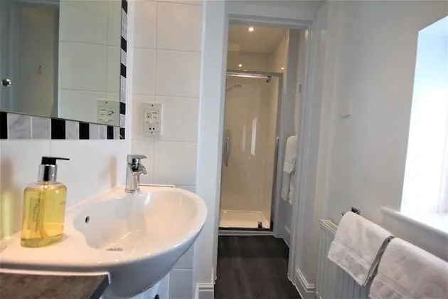 Superior Tek Büyük Yataklı Oda, 1 En Büyük (King) Boy Yatak (Room 1)