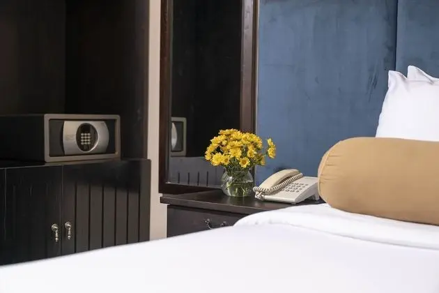 Deluxe Tek Büyük veya İki Ayrı Yataklı Oda, 1 Yatak Odası, Şehir Manzaralı