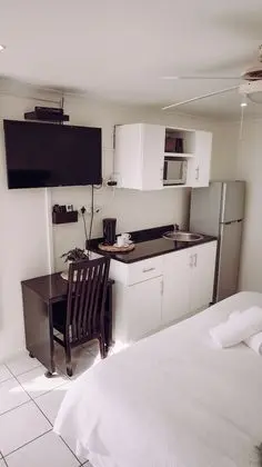 Luxury Tek Büyük Yataklı Oda, 1 En Büyük (King) Boy Yatak