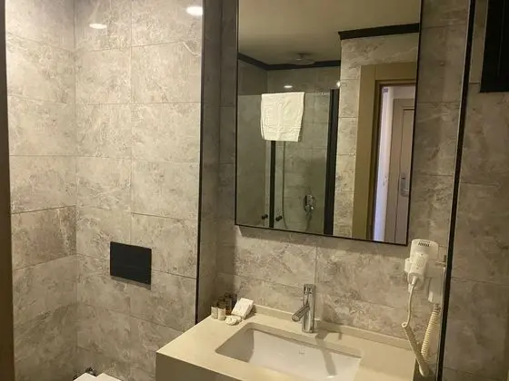 Deluxe Tek Büyük veya İki Ayrı Yataklı Oda