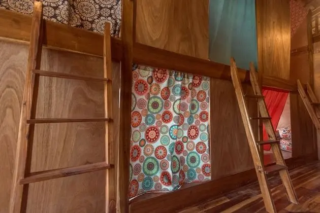 Luxury Ortak Ranzalı Oda