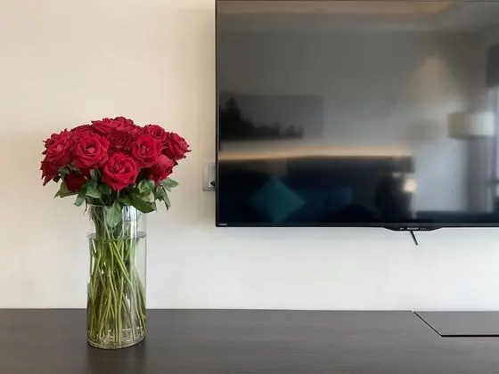 Süit