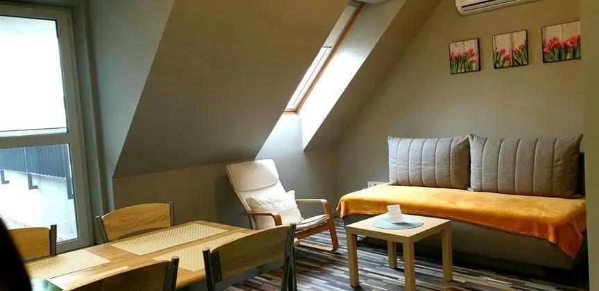 Standard Apart Daire, 1 Yatak Odası, Şehir Manzaralı