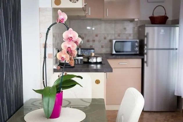 Standard Apart Daire, 1 Yatak Odası, Şehir Manzaralı
