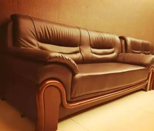 Tek Büyük Yataklı Oda, Ortak Banyo (Sofa Bed)