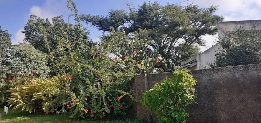 Kır Evi, 2 Büyük (Queen) Boy Yatak