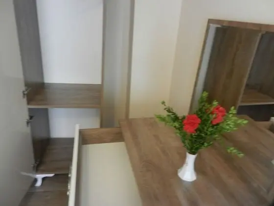 Junior Süit, 1 Yatak Odası, Küçük Mutfak, Şehir Manzaralı