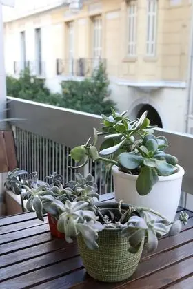 City Apart Daire, 1 Yatak Odası, Balkon