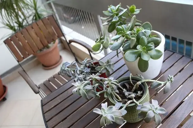 City Apart Daire, 1 Yatak Odası, Balkon