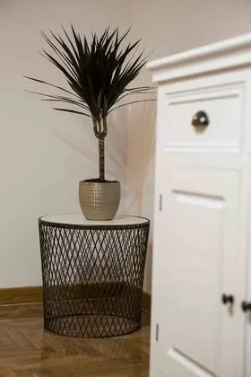 City Apart Daire, 1 Büyük (Queen) Boy Yatak ve Çekyat, Mutfak, Şehir Manzaralı