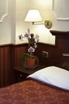 Superior Tek Kişilik Oda