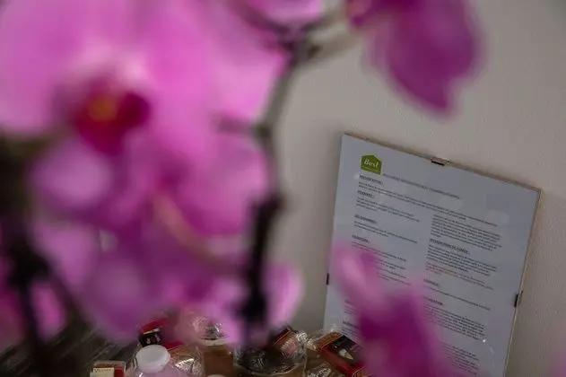 Oda (La Chambre de Pierre)