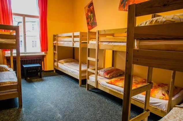Bed in 8 Beds Mixed Shared Dormitory Room, Shower