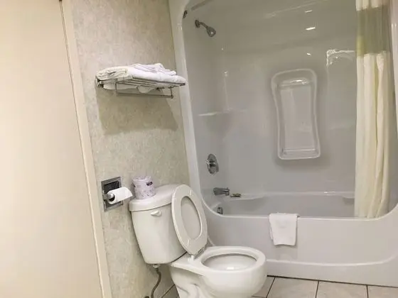 Deluxe Süit, 1 En Büyük (King) Boy Yatak ve Çekyat