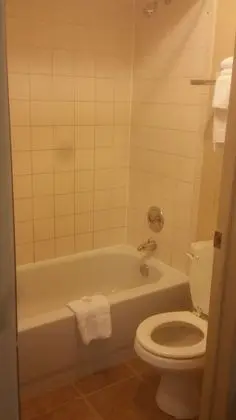 Standard Tek Kişilik Oda, 1 Büyük (Queen) Boy Yatak