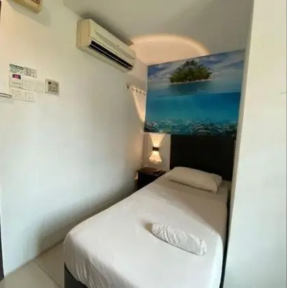 Deluxe Tek Kişilik Oda, 1 Tek Kişilik Yatak (Window)