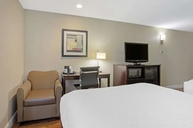Standard Oda, 2 Büyük (Queen) Boy Yatak, Sigara İçilmez, Buzdolabı ve Mikrodalga (Pet Friendly)