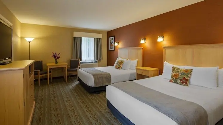 Standard Oda, 2 Büyük (Queen) Boy Yatak, Sigara İçilmez, Buzdolabı ve Mikrodalga (Pet Friendly)
