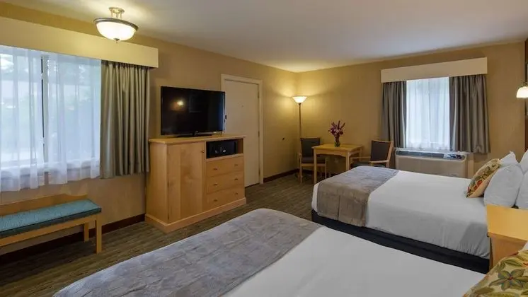 Standard Oda, 2 Büyük (Queen) Boy Yatak, Sigara İçilmez, Buzdolabı ve Mikrodalga (Pet Friendly)