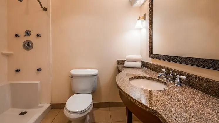 Standard Oda, 1 Çift Kişilik Yatak, Engellilere Uygun, Sigara İçilmez (Walk-in Shower)