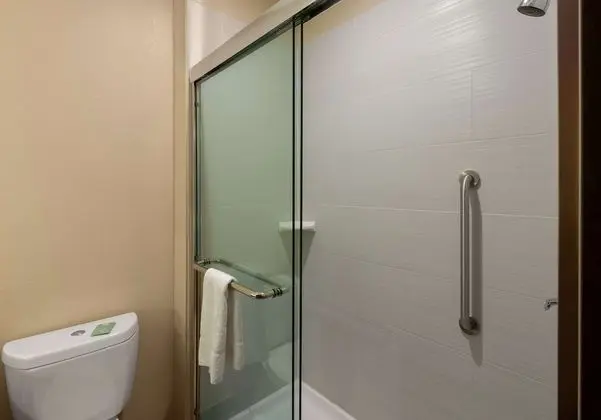 Standard Oda, 1 En Büyük (King) Boy Yatak, Sigara İçilmez (Shower Only;Larger Room)