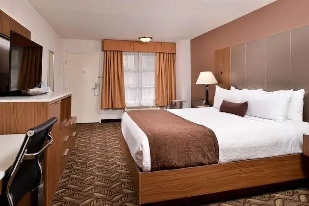 Standard Oda, 1 En Büyük (King) Boy Yatak, Sigara İçilmez, Buzdolabı ve Mikrodalga (Oversized Room)