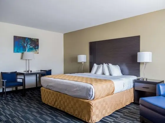 Standard Oda, 1 En Büyük (King) Boy Yatak, Engellilere Uygun, Sigara İçilmez