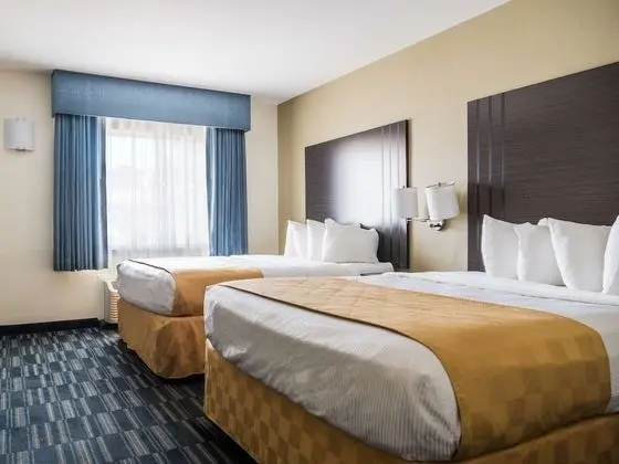 Standard Oda, 2 Büyük (Queen) Boy Yatak, Sigara İçilmez, Buzdolabı ve Mikrodalga