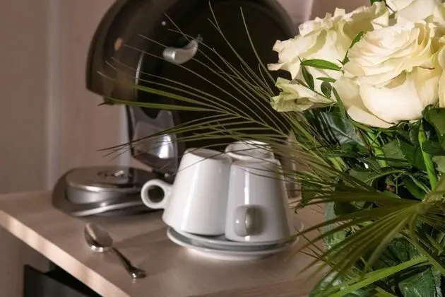 Deluxe Oda, 2 Tek Kişilik Yatak, Sigara İçilmez