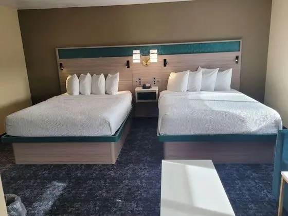 Standard Oda, 2 Büyük (Queen) Boy Yatak, Sigara İçilmez (Larger Room;with Sofabed)