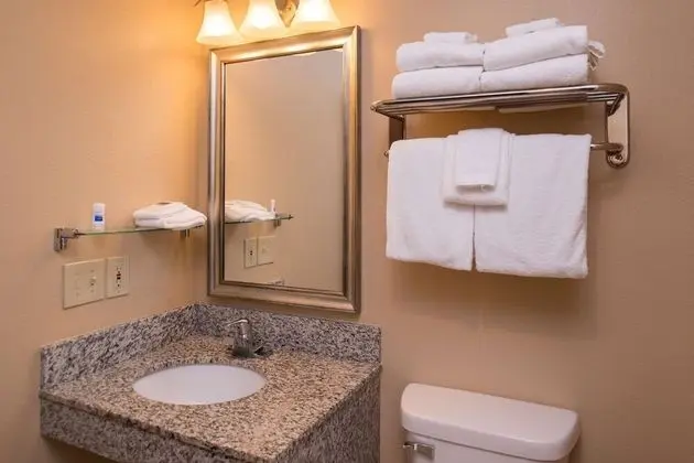 Standard Oda, Birden Çok Yatak, Sigara İçilmez, Buzdolabı ve Mikrodalga (1 king and 2 queen beds)