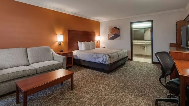 Standard Oda, 1 En Büyük (King) Boy Yatak, Sigara İçilmez, Sıcak Su Küveti (Oversized Room)