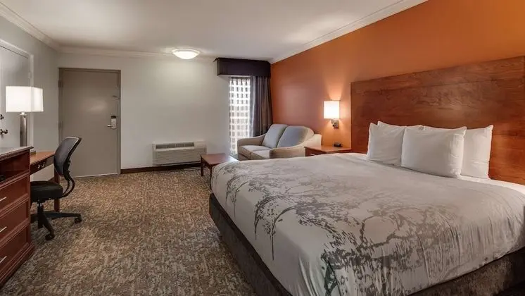 Standard Oda, 1 En Büyük (King) Boy Yatak ve Çekyat, Engellilere Uygun (with Sofabed)